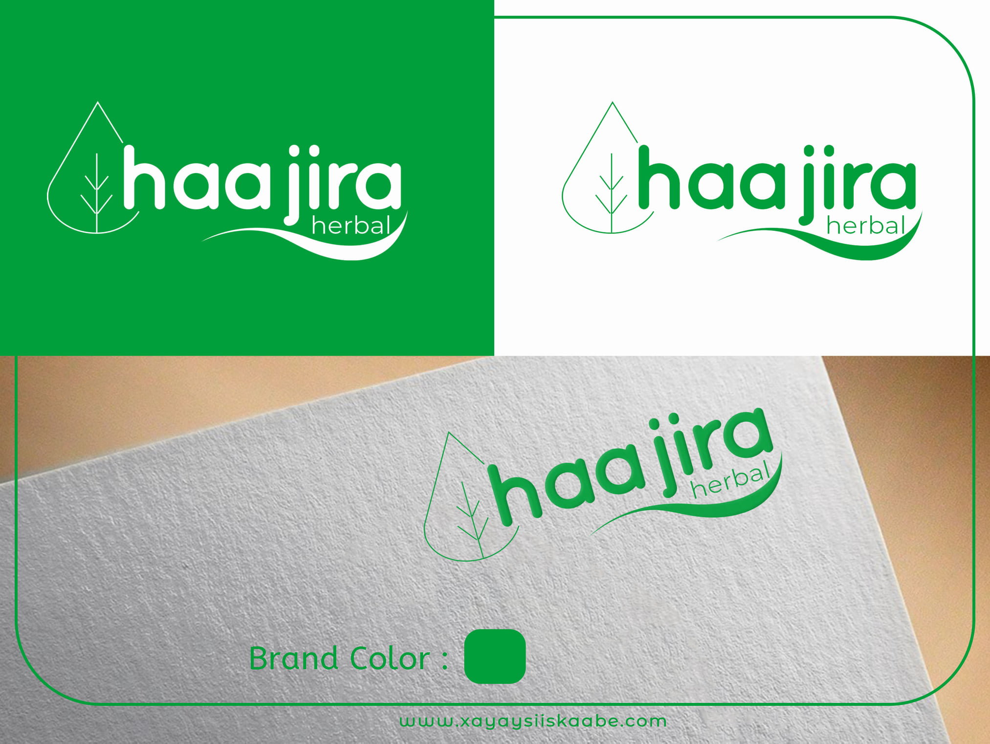 Haajira Herbal – Brand Identity Design gallery image 1
