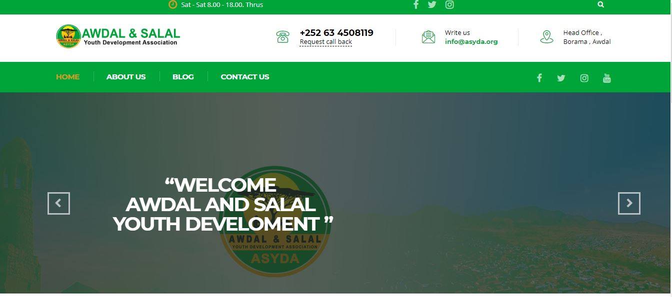 Organization Website Design gallery image 1